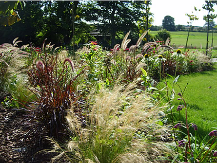 Ornamental Prairie 