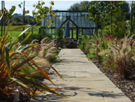 Ornamental Prairie 