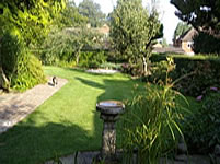 After image 1