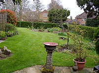Before image 1