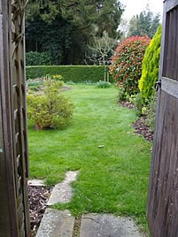 Before image 2